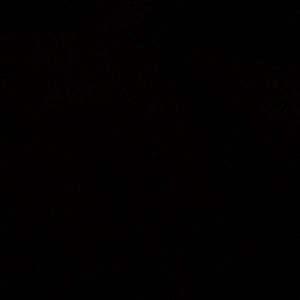 Meet your Posher, Isela